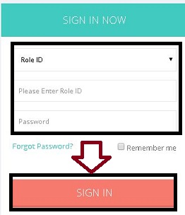 प्रधानमंत्री सौभाग्य योजना | PM Saubhagya Scheme Online Apply Application Form 4 PM Saubhagya Yojna