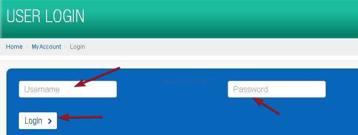 दिल्ली बिजली बिल कैसे चेक करें? | Delhi Bijli Bill Online Check 3 दिल्ली ऑनलाइन बिजली बिल चेक कैसे करें