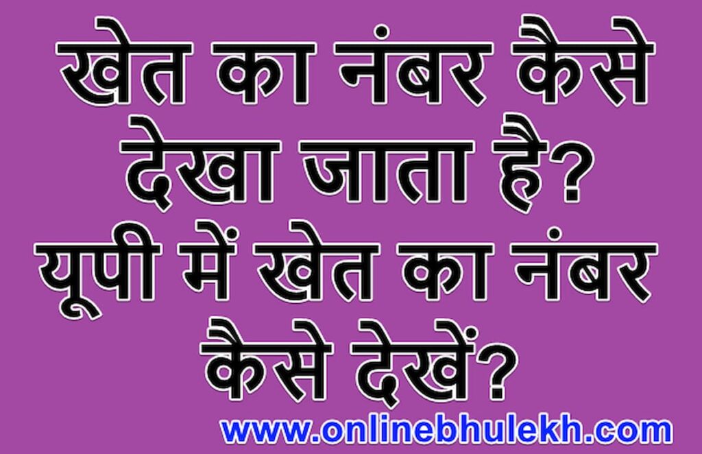 खेत का नंबर कैसे देखा जाता है