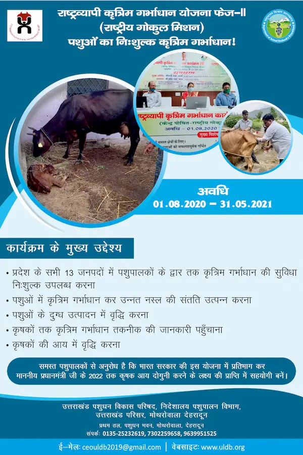 राष्ट्रीय गोकुल मिशन योजना 2025 क्या है? | पात्रता, लाभ और पंजीकरण कैसे करें 2 राष्ट्रीय गोकुल मिशन योजना 2022 क्या है