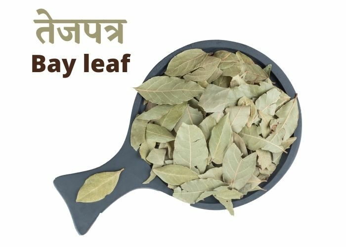 bay-leaf-03-2302794-4359403