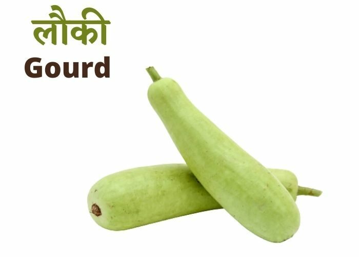 bottle-gourd-2-1353757-8860075
