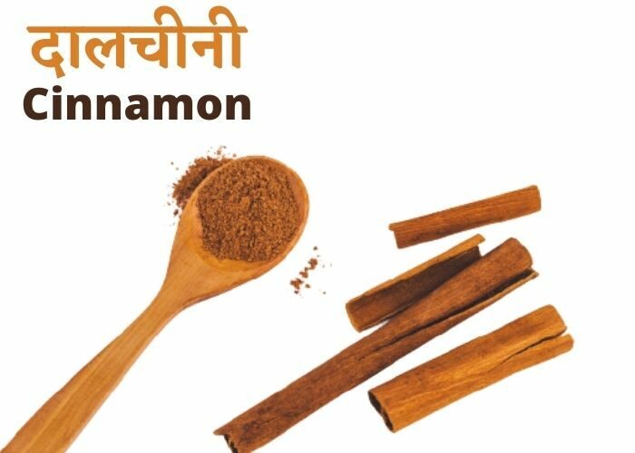 daalchini-or-cinnamon-3-9492387-2150684