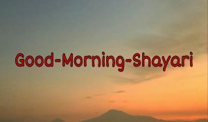 Good Morning Shayari good-morning-shayari-300x176-9644985-7528192