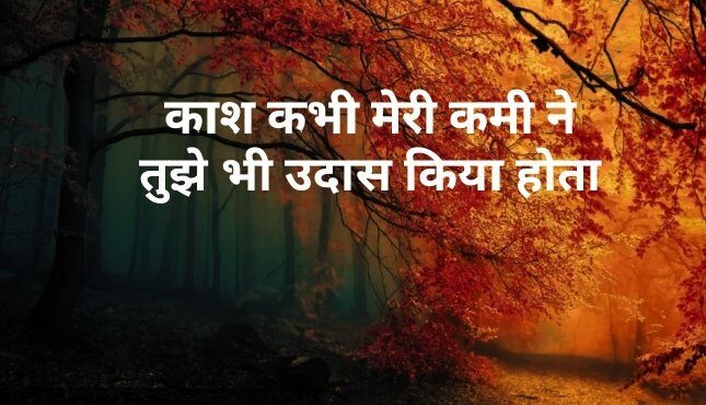 Shayari in Hindi img_20200422_2250432433614980786655150-8506421-3813166