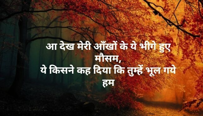 img_20200424_1828118477100343887874239-1439541-3482714