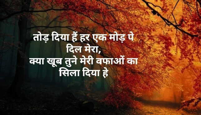 Shayari in Hindi img_20200424_183108877055647653470182-5777776-3164174