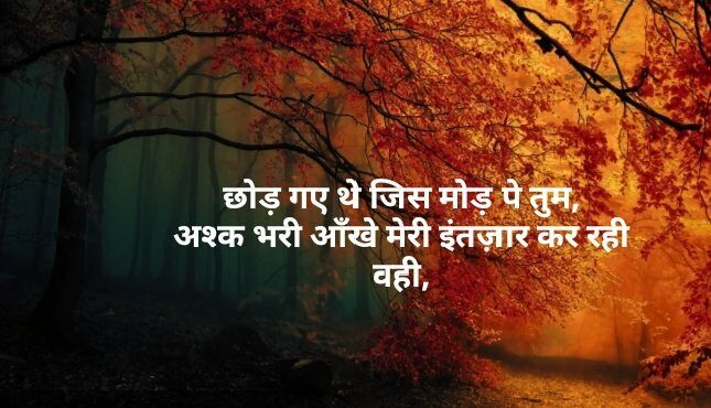 Shayari in Hindi img_20200424_1832278883679132323499715-7251682-2317143