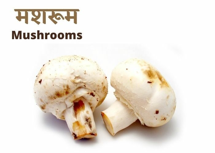 mushrooms-for-obesity-9591238-8413894