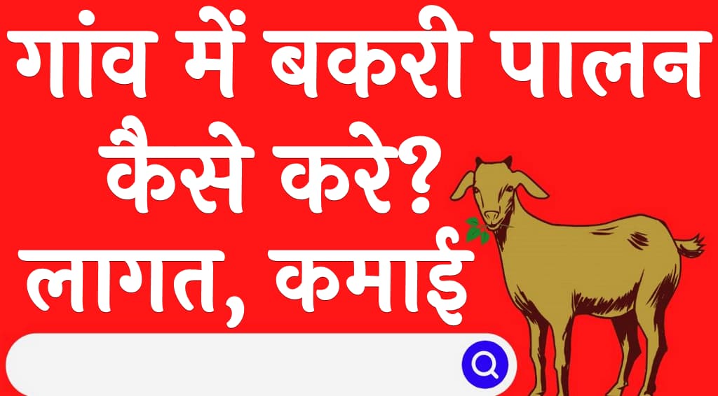 गांव में बकरी पालन कैसे करे लागत, कमाई Gaon Mein Bakri Palan Kaise Kare in Hindi