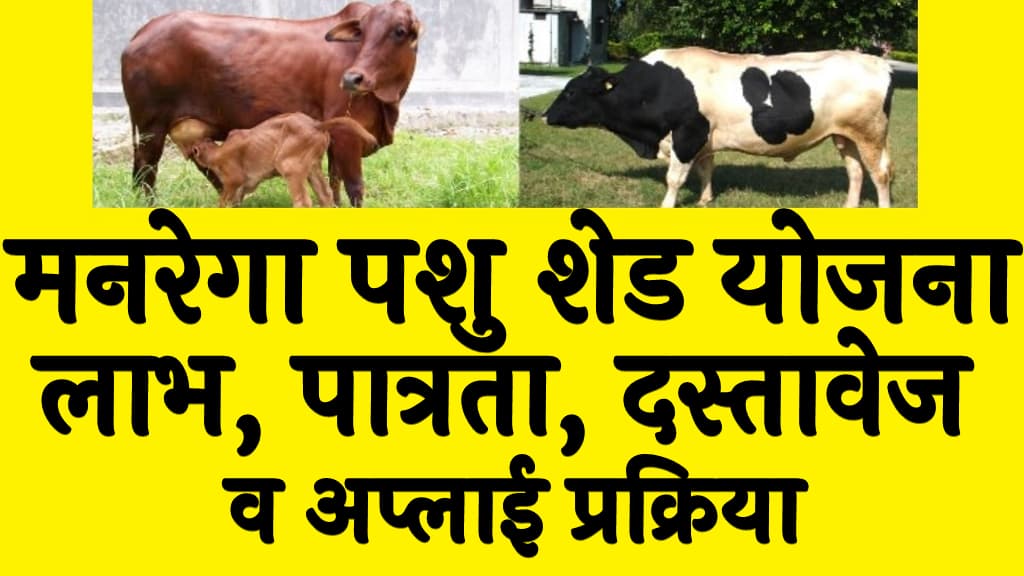 मनरेगा पशु शेड योजना | लाभ, पात्रता, दस्तावेज व अप्लाई प्रक्रिया | MGNREGA Pashu Shed Yojana 3 मनरेगा पशु शेड योजना लाभ, पात्रता, दस्तावेज व अप्लाई प्रक्रिया MGNREGA Pashu Shed Yojana