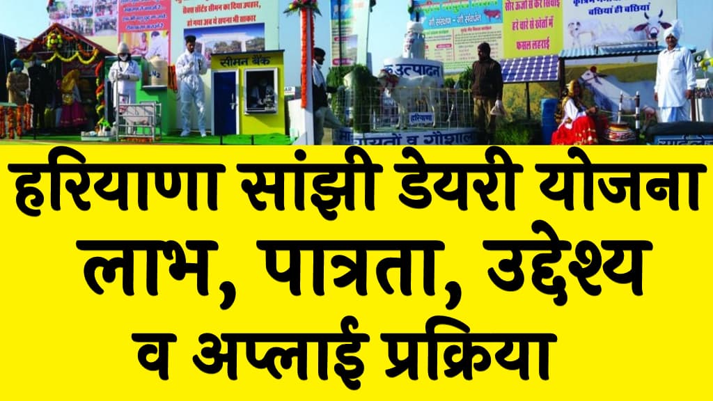 हरियाणा सांझी डेयरी योजना लाभ, पात्रता, उद्देश्य व अप्लाई प्रक्रिया Haryana Sanjhi Dairy Scheme 2025