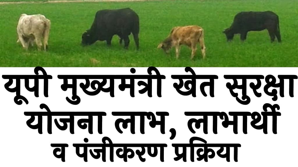 यूपी मुख्यमंत्री खेत सुरक्षा योजना लाभ, लाभार्थी, पात्रता व पंजीकरण प्रक्रिया Mukhyamantri Khet Suraksha Yojana 2025