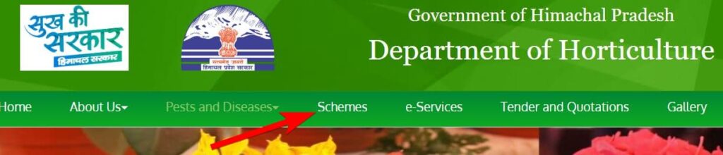 मुख्यमंत्री मधु विकास योजना योजना | लाभ, लाभार्थी, पात्रता व अप्लाई प्रक्रिया | Mukhyamantri Madhu Vikas Yojana 2 मुख्यमंत्री मधु विकास योजना योजना लाभ लाभार्थी पात्रता व अप्लाई प्रक्रिया Mukhyamantri Madhu Vikas Yojana