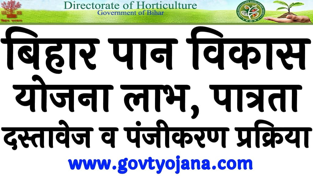 बिहार पान विकास योजना | लाभ, पात्रता, दस्तावेज व पंजीकरण प्रक्रिया 5 बिहार पान विकास योजना लाभ, पात्रता, दस्तावेज व पंजीकरण प्रक्रिया