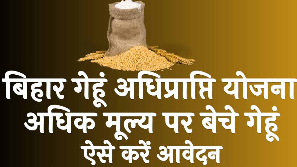 बिहार गेहूं अधिप्राप्ति योजना 2025 अधिक मूल्य पर बेचे गेहूं, ऐसे करें आवेदन